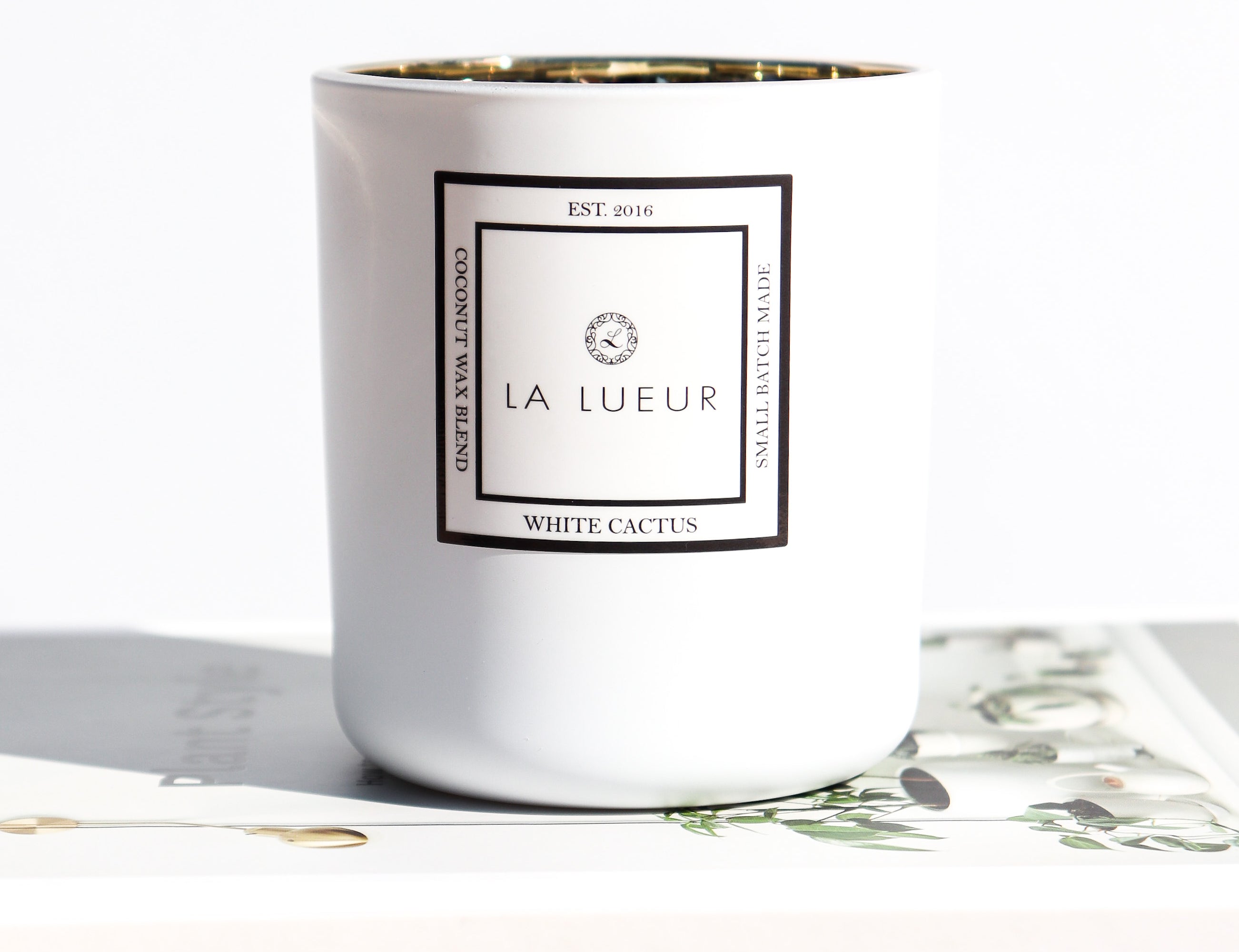 White 8 ounce coconut wax candle on books